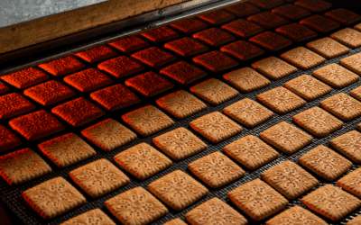Behind the Scenes: Unraveling the Structure and Components of Manufacturing Batch Records