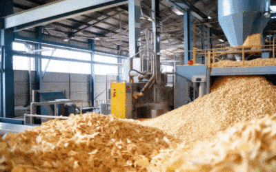 Unraveling the Enigma of Manufacturing Waste: Causes, Consequences, and Solutions